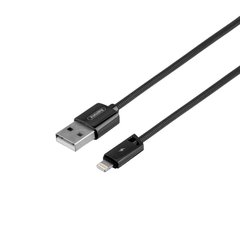 USB кабель Remax RC-166i Lightning 2,1A/1m grey