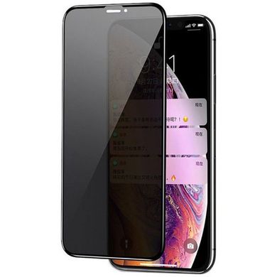 Захисне скло Privacy Glass (анти-шпигун) для iPhone XS Max/11 Pro Max тех.пак. black
