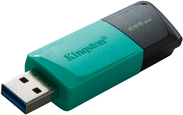 USB флеш накопитель Kingston DT Exodia M 256GB USB3.2 (DTXM/256)