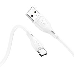 USB кабель Hoco X61 Ultimate Type-C 3.0A 1m white