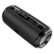 Колонка Borofone BR13 black