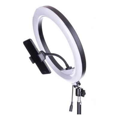 Кольцевая лампа Ring Fill Light QX (CXB)-300 30см 12 (с держателем без подставки)