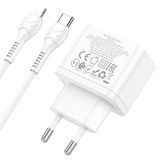 Сетевое зарядное устройство Hoco N29 Triumph PD+QC3.0 35W Type-C to Lightning white