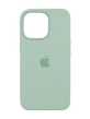 Силіконовий чохол with MagSafe для iPhone 14 Pro Max succulent