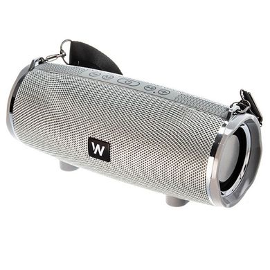 Колонка Walker WSP-160 grey