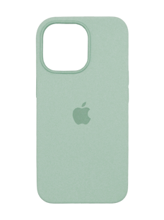 Силіконовий чохол with MagSafe для iPhone 14 succulent