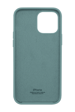 Силиконовый чехол Full Cover для iPhone 15 Pro Max cactus