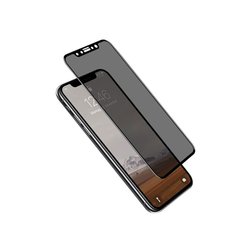 Захисне 3D Privacy скло Full Glue для iPhone 12 black SP