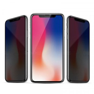 Защитное стекло Privacy Glass (анти-шпион) для iPhone XR/11 тех.пак. black