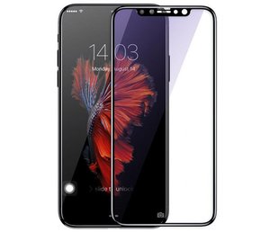 Защитное стекло для iPhone X BACK