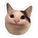 Стікер 3D кошеня smile
