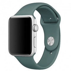 Силіконовий ремінець для Apple Watch Sport Band 42/44mm (S/M & M/L) 3pcs pine green