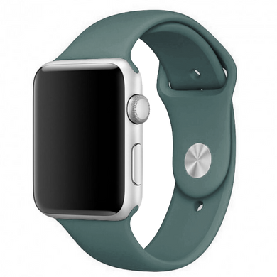 Силіконовий ремінець для Apple Watch Sport Band 42/44mm (S/M & M/L) 3pcs pine green
