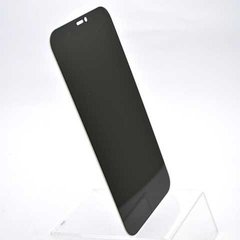 Захисне 5D Privacy Anti-Static скло для iPhone 12 Pro Max black SP