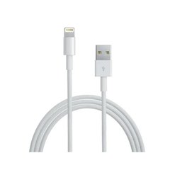 USB кабель Apple iPhone X Lightning Original 1m (BarCode: MD818ZM/A) Box (Foxconn)