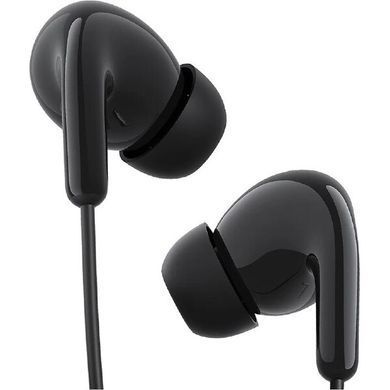 Наушники Xiaomi Type-C Earphones (BHR8930GL) black