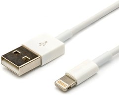 USB кабель Apple iPXs Max Lightning Original (чип MFI) (Retail box) 2.5A