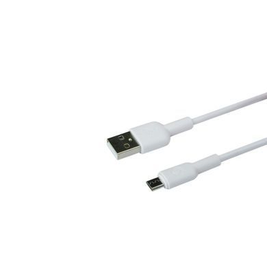 Сетевое зарядное устройство Ridea RW-11111 Element Micro 2.1A white