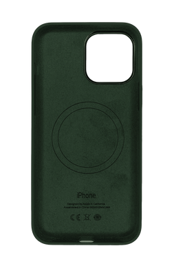 Силиконовый чехол with MagSafe для iPhone 12/12 Pro cyprus green 1:1 Smart animation