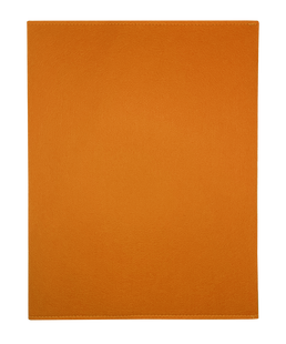 Чохол - сумка Фетр для iPad 11 orange