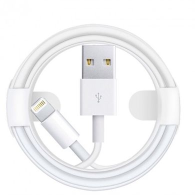 Сетевое зарядное устройство Apple 1400 5W white Lightning 1A white
