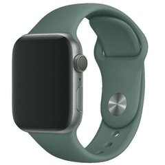 Силіконовий ремінець для Apple Watch Sport Band 38-40mm (S/M & M/L) 3pcs pine green