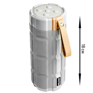 Колонка Walker WSP-170 grey