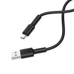 USB кабель Borofone BX31 Type-C 5A/1m black