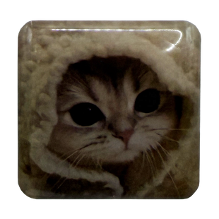 Стікер 3D кіт 6